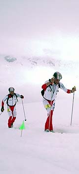 Alta Valtellina Ski Race, scialpinismo