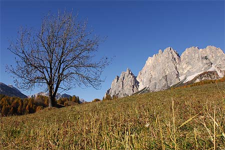 Pomagagnon