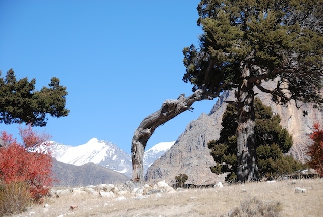 Nar Phu, the forgotten valley in the Himalaya