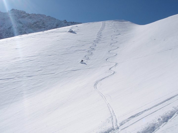 Adamello ski