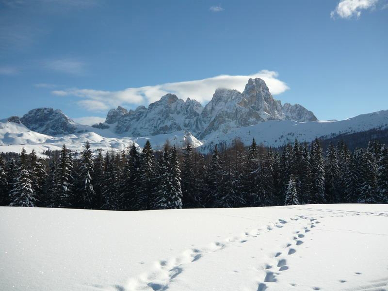 Ski mountaineering in Trentino