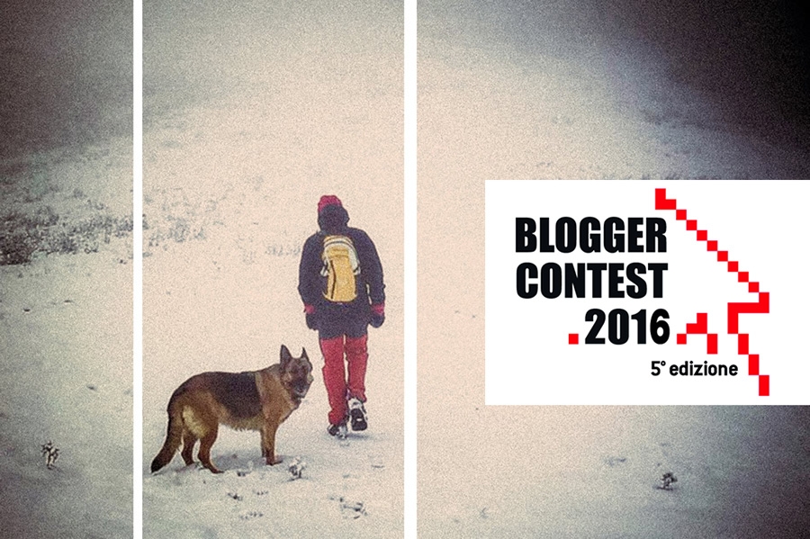 Blogger Contest.2016