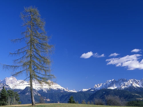 Ritten Südtirol walking trekking 