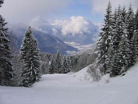 Escursioni con le racchette da neve in Friuli Venezia Giulia