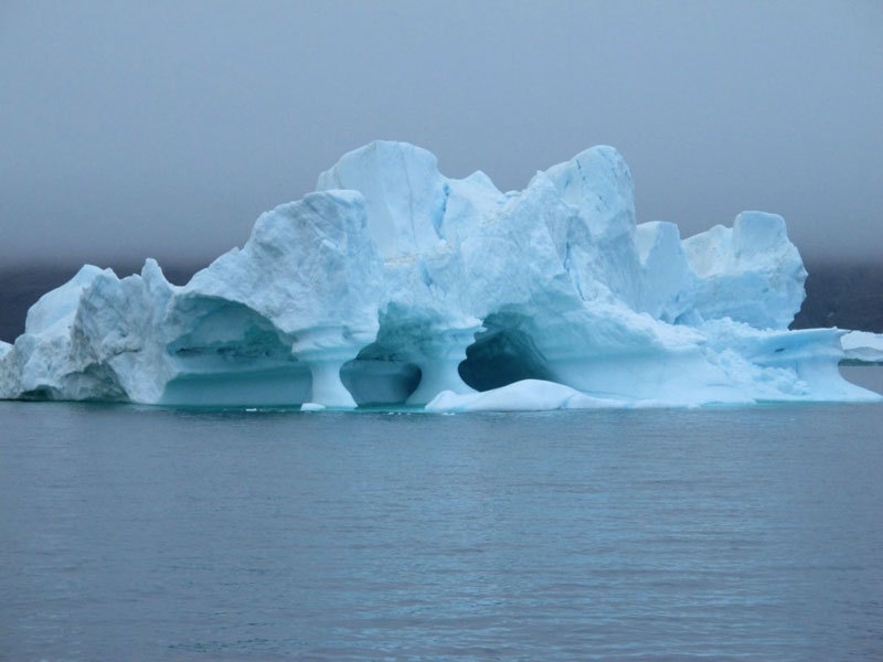 Greenland 2011