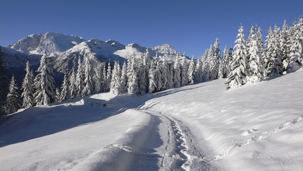 Racchette da neve in Dolomiti - Col di Lana