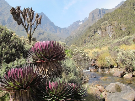 Rwenzori e Cima Margherita, la terza montagna più alta d'Africa