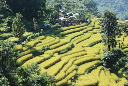 Nar Phu - Nar Phu, la valle dimenticata nell'Himalaya