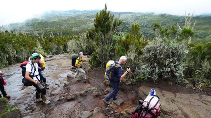 Kilimangiaro - Secondo giorno. La brughiera