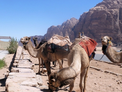 Wadi Rum - Giordania - Arrampicata e incastri a wadi Rum, nel deserto di Lawrence d’Arabia
