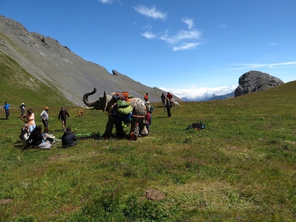 Across the Alps - Ivan Peri - The unusual and unforgettable encounter with an elephant at Passo della Cavalla, between Val Mairaand Valle dell'Ubayette