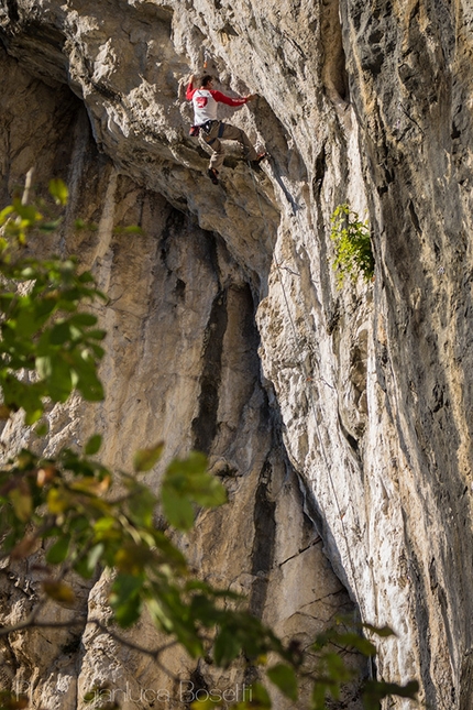 Tarzan Wall, Sanzan - Gianluca Bellin climbing PKK 7c, Tarzan Wall, Sanzan