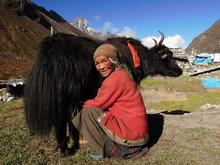 Chugimago (Chukyima Go), Nepal - Domen Kastelic, Sam Hennessey - Purdigi con i yak