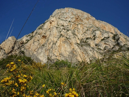 Monte Gallo, Sicilia - Monte Gallo