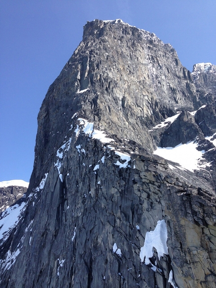 Devils Paw, Alaska, Roger Schäli, Simon Gietl - The NE Ridge of Devil's Paw in Alaska climbed by Roger Schäli and Simon Gietl via their Black Roses (6c, A1,M4, 18-19/04/2104).