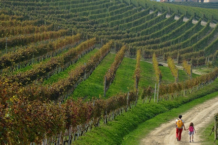 Langhe-Roero e Monferrato, camminate facili per bambini in Piemonte