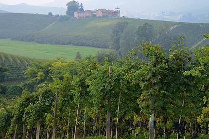 Langhe-Roero e Monferrato, Piemonte - Da Barolo a Castiglione Falletto