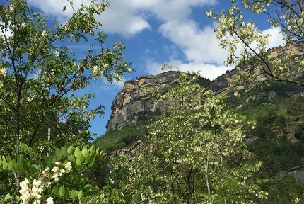 Annot Francia, arrampicata - La falesia di Annot, vista dalla strada che proviene da Nizza. 