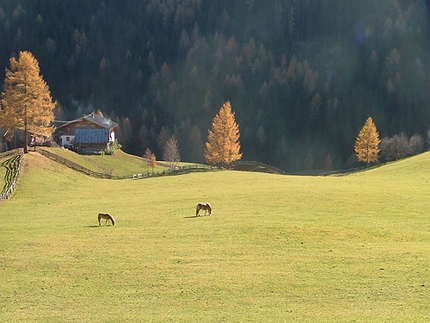 Altopiano del Renon Alto Adige camminare trekking - Sull'altopiano del Renon