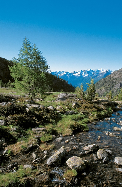 Rifugio Larcher, Lago delle Marmotte, Lago Lungo, Parco Nazionale dello Stelvio, Trentino - Val de la Mare
