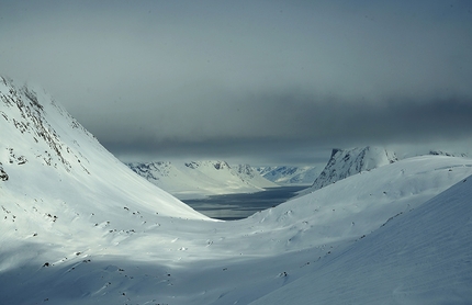 Into the Wild, Manuel Lugli - Groenlandia, terra di fiordi e neve