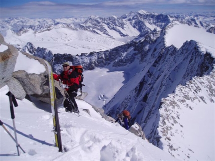 Adamello ski mountaineering - Adamello Tour - Cresta est Adamello