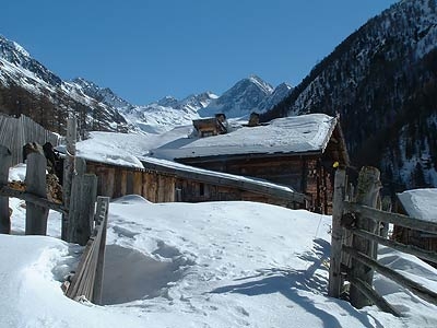 Val Senales scialpinismo - Scialpinismo in Val Senales: Val di Fosse