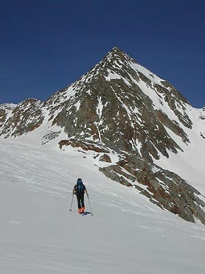 Val Senales scialpinismo - Scialpinismo in Val Senales: Punta Oberettes