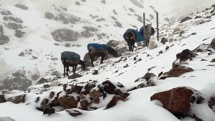 Scialpinismo in Alto Atlante, Marocco - Marocco scialpinismo: Punto di ritrovo a 2.800 m