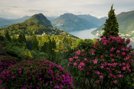 Svizzera bike tour - Svizzera Canton Ticino: fioritura di primavera