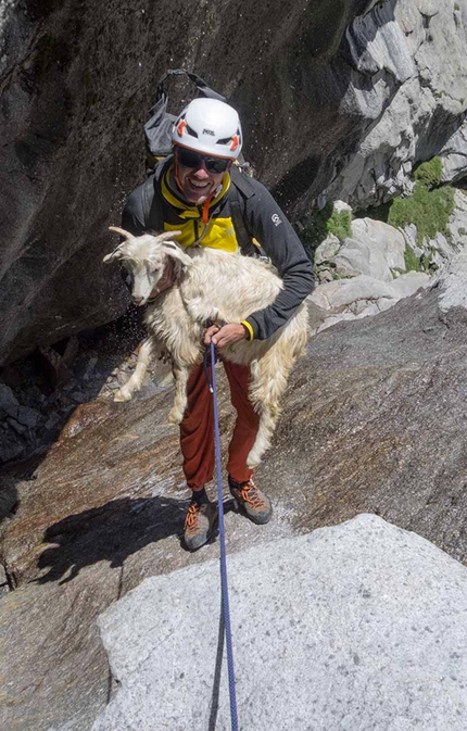 Tagas Valley, Karakorum, Nicolas Favresse, Mathieu Maynadier, Carlos Molina, Jean-Louis Wertz - Tagas Valley, Karakorum: saving a sheep