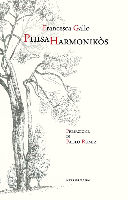 Premio Gambrinus Mazzotti - Phisa Harmonikòs di Francesca Gallo