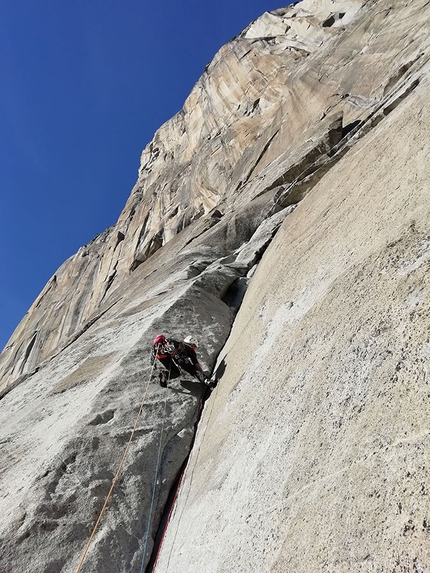 Federica Mingolla, Yosemite, Andrea Migliano - Yosemite: Federica Mingolla in arrampicata sulla Salathé, El Capitan