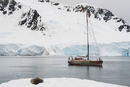 Progetto Antartide, Manuel Lugli - Antartide: Pelagi e una foca