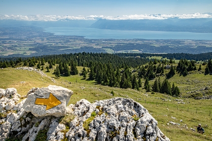 Svizzera a piedi - Sentiero in cresta del Giura: 13° tappa, tra Le Pont e Col du Marchairuz. La bellissima vista dal Monte Tendre verso il Lago Lemàno, ovvero il Lago di Ginevra, e gli Alpi