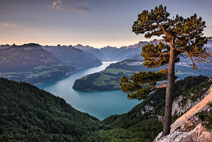 Svizzera a piedi - Estate in Svizzera: panorama dalla cima Rigi Hochflue verso il lago Seelisberg. Sullo sfondo il lago Lucerne e Flüelen