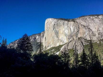 Yosemite boulder - El Capitan in Yosemite
