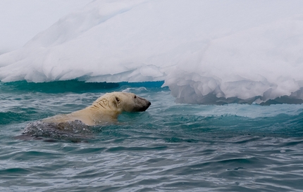 Greenland climbing, Eliza Kubarska, David Kaszlikowski - Greenland Torsukattak fjord: Polar bear - close encounter