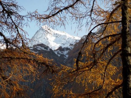 Climbing at Barliard, Ollomont, Valle d’Aosta - Mont Gelé seen from the crag Barliard, Ollomont, Valle d’Aosta