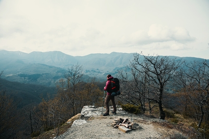 Parco Nazionale Foreste Casentinesi: online il secondo video del progetto Linea 7000