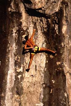 Edo Pedersini - Edo Pedersini climbing Cocoon L1, 7b+, Madonna della Rota