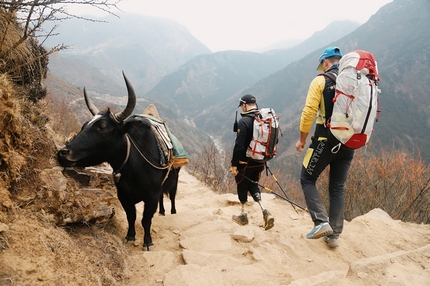 Andrea Lanfri Everest - Andrea Lanfri, Luca Montanari and yak on the trek towards Everest base Camp