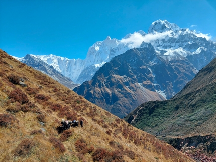 Sato Pyramide, Nepal, Silvia Loreggian, Stefano Ragazzo - Sato Pyramide, Nepal: avvicinamento al campo base con gli yak