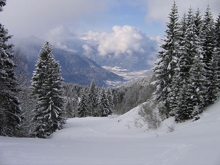 Escursioni con le racchette da neve in Friuli Venezia Giulia - Racchette da neve in Friuli Venezia Giulia: Salita al Monte Dimon