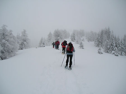 Escursioni con le racchette da neve in Friuli Venezia Giulia - Racchette da neve in Friuli Venezia Giulia: Salendo al Monte Sagran