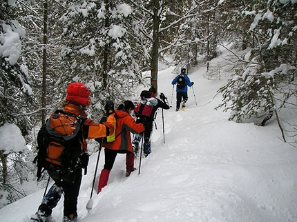 Escursioni con le racchette da neve in Friuli Venezia Giulia - Racchette da neve in Friuli Venezia Giulia: Monte Ruche