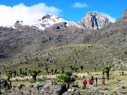 Mount Kenya, trekking e alpinismo in Africa - Old Moses Camp