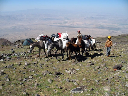 Monte Ararat - I cavalli portano il materiale più pesante