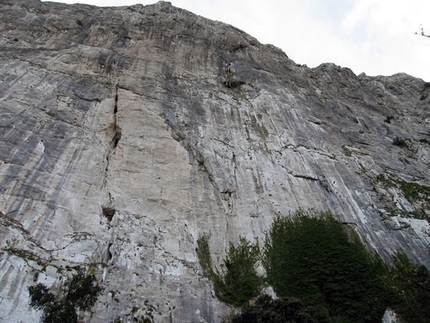 Hystrix Pizzo Campana - Rocca Busambra - Hystrix: Vista da sotto della parete nord del Pizzo Campana, Hystrix sale a destra (ph arch. M. Giglio)