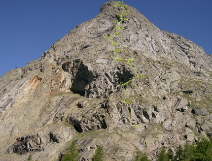 Carpe diem Aiguille de Chatelet - Carpe diem: Tracciato della via Carpe diem, Aiguille de Chatelet, Monte Bianco